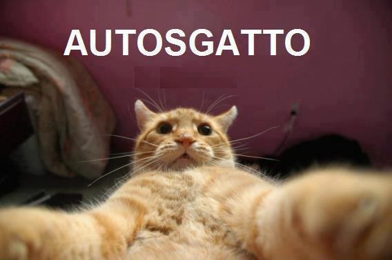 QUANTO SO' BELLO !! - 20/09/2012