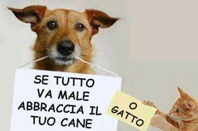 NOI NUN TE LASCIAMO !! - 20/09/2012