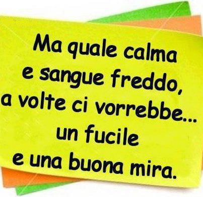 QUESTO CE SERVIREBBE !! - 13/10/2012