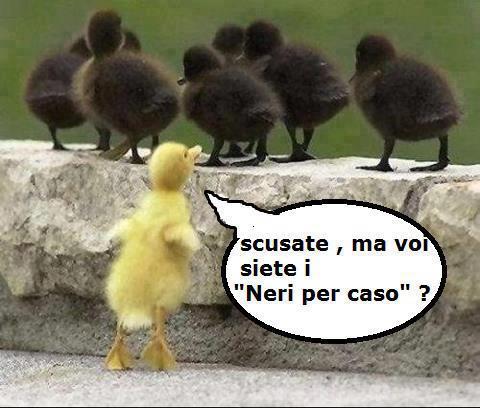 SOLO 'NA DOMANDA !! - 14/10/2012