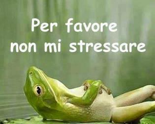 NUN ME STRESSA' !! - 16/10/2012