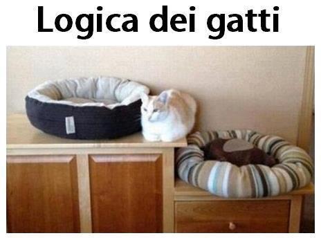 NUN SE CAPISCE PERCHE' ?! - 20/10/2012