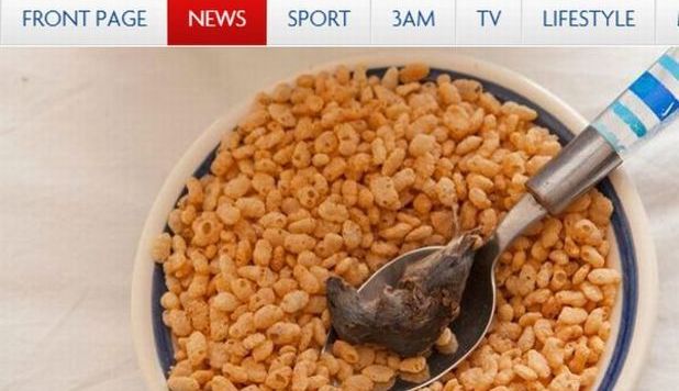 TROVA UN TOPO MORTO NEI CEREALI. LA KELLOGG'S GLI CHIEDE SCUSA - 05/11/2012