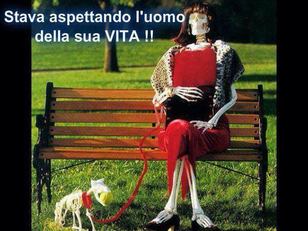 Immagine Divertente - 26/11/2012