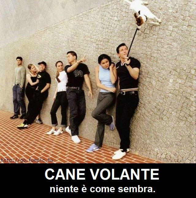 FERMATE A GUARDA' !! - 24/11/2012