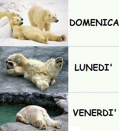 SO' STATI D'ANIMO !! - 24/11/2012
