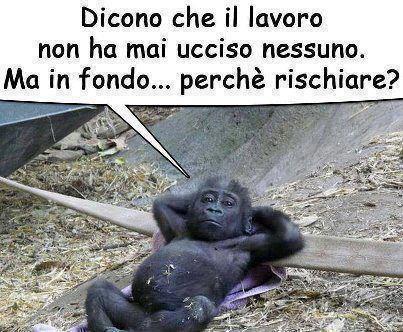 MEJO NUN RISCHIA' !! - 24/11/2012