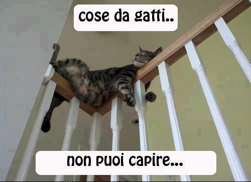 NUN POI CAPI' !! - 27/11/2012