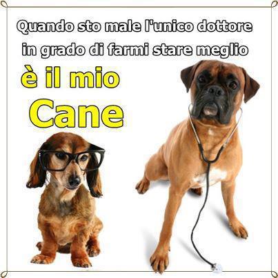 ER MIO CANE !! - 27/11/2012