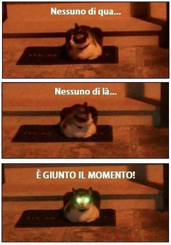 E' GIUSTO ER MOMENTO !! - 28/11/2012