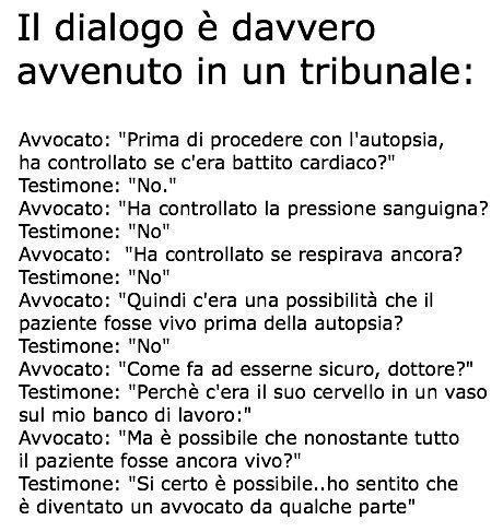 ER DIALOGO E' VERO !! - 28/11/2012