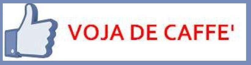 Immagine Divertente - 11/01/2013