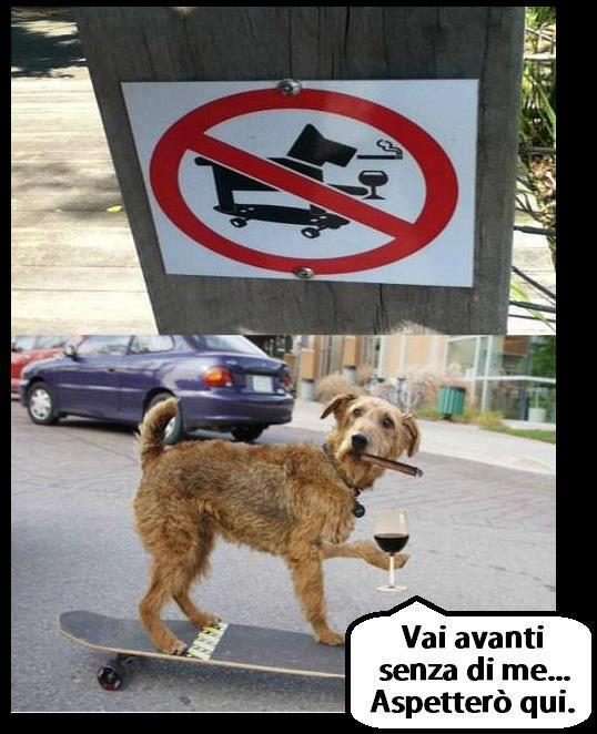 Immagine Divertente - 21/01/2013