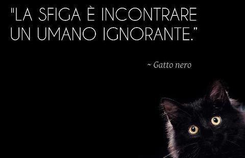 Immagine Divertente - 21/01/2013