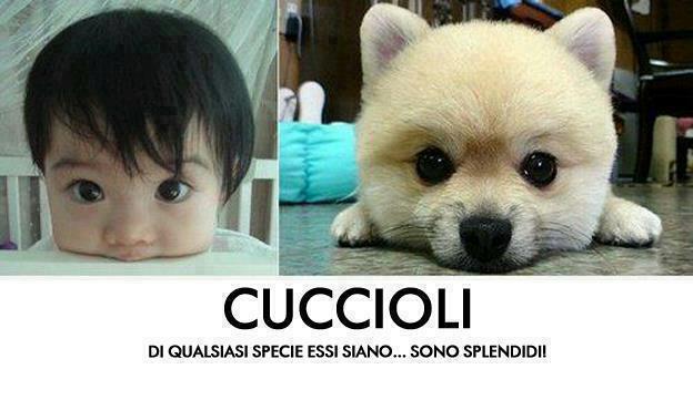 SO' SEMPRE 'NA FAVOLA !! - 21/01/2013