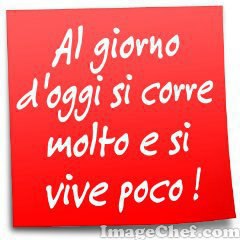 Immagine Divertente - 21/01/2013