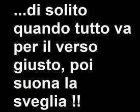 Immagine Divertente - 21/01/2013
