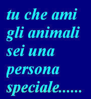 Immagine Divertente - 21/01/2013