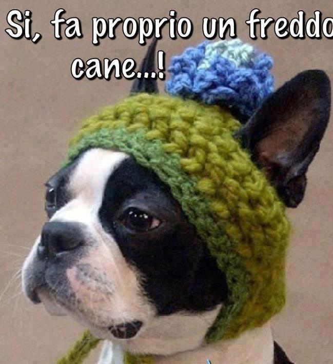 Immagine Divertente - 27/01/2013