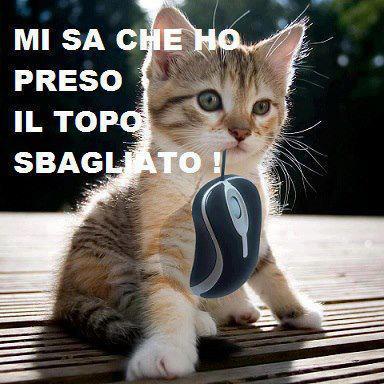 Immagine Divertente - 01/02/2013