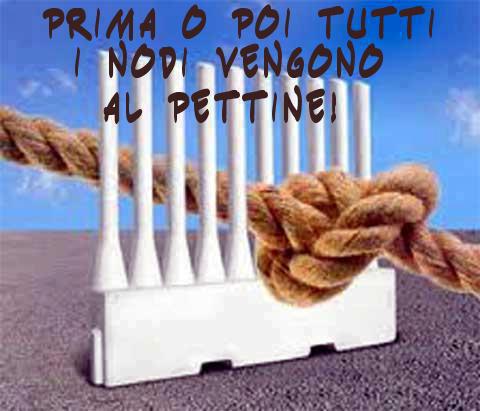 Immagine Divertente - 02/02/2013