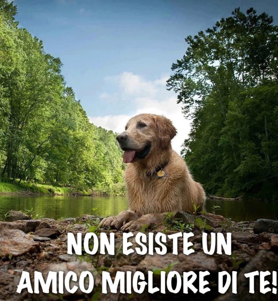 Immagine Divertente - 03/02/2013