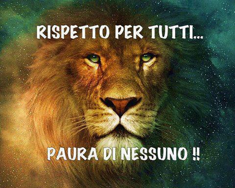 Immagine Divertente - 16/02/2013
