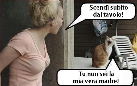 Vignetta Divertente - 16/02/2013