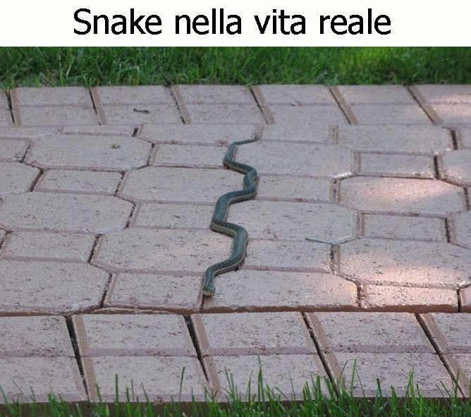 Immagine Divertente - 09/03/2013