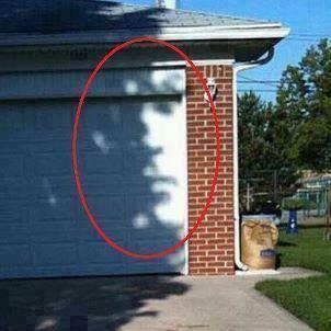 Immagine Divertente - 15/03/2013