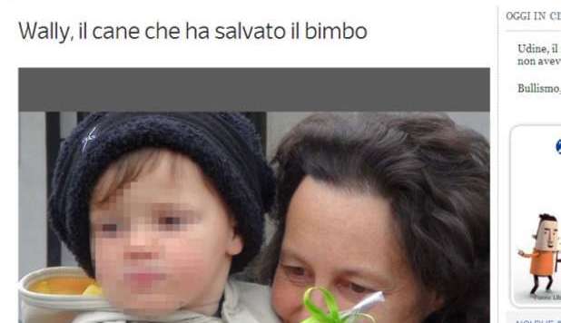 BIMBO DI 2 ANNI SI PERDE DI NOTTE NEL BOSCO: CANE-EROE LO TROVA GRAZIE AL VASINO - 10/04/2013