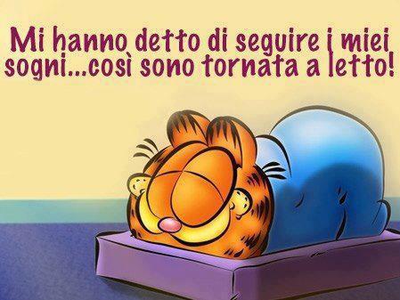 Immagine Divertente - 05/05/2013