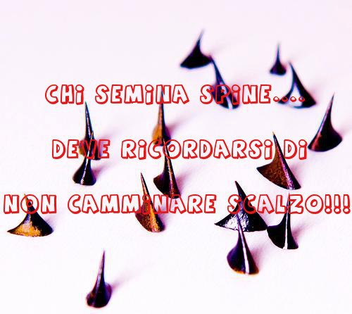 NUN TE LO SCORDA' !! - 06/05/2013