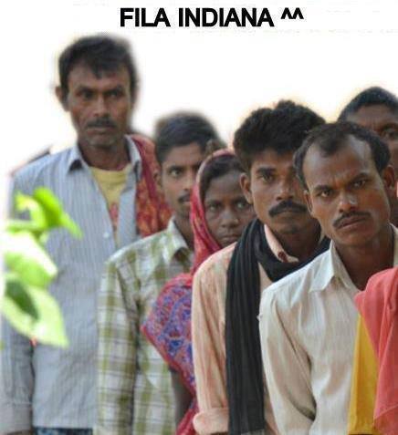 Immagine Divertente - 24/07/2013