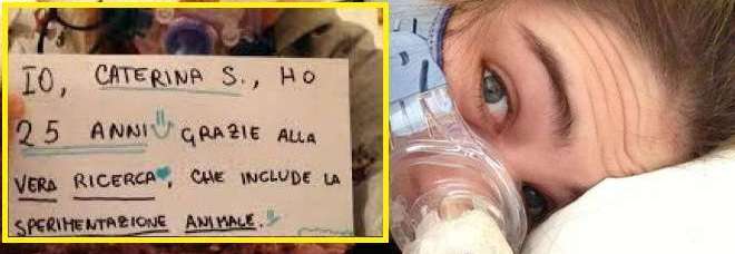 ''SONO VIVA GRAZIE ALLA SPERIMENTAZIONE SUGLI ANIMALI'': MINACCE DI MORTE E INSULTI PER CATERINA - 30/12/2013