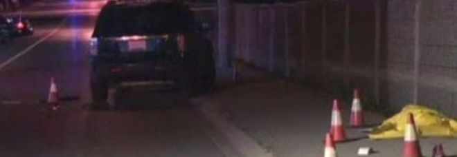 ROM GETTANO I CANI CONTRO LE AUTO IN CORSA E POI CHIEDONO IL RISARCIMENTO - 01/02/2014