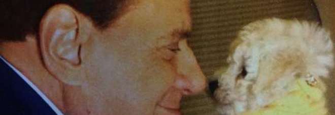 BERLUSCONI CADE E SI FA MALE: ''HO MESSO UN PIEDE SU UNA PALLA DI DUDÙ E HO FATTO UN VOLO DI 4 METRI'' - 08/02/2014