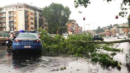 ROMA NEL CAOS. STRADE CHIUSE E TRAFFICO IN TILT. ALL'EUR CADE UN ALBERO DI 30 METRI - 09/02/2014