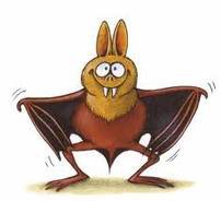 QUAL'E' A DIFFERENZA TRA UN PIPISTRELLO E ER MEMBRO MASCHILE ?? - 03/03/2012