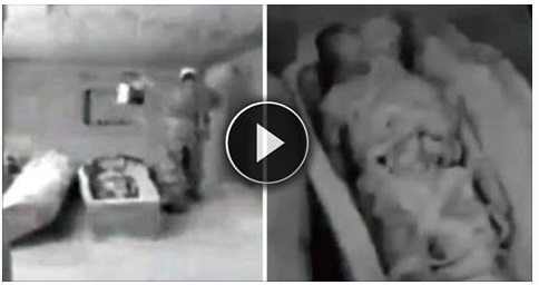 ESISTE UNA SOLA COPIA AL MONDO DI QUESTO VIDEO: DIFFONDILO PRIMA CHE LO CENSURINO - 08/03/2017