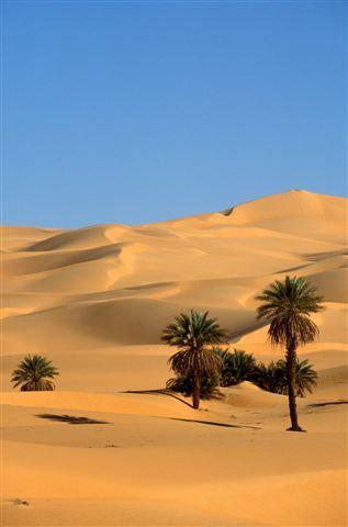 ESPLORATORI NEL DESERTO: - 04/03/2012