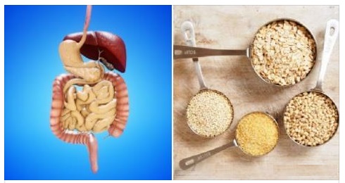 GLI SCIENZIATI: IL GLUTINE FA INGRASSARE RALLENTANDO IL METABOLISMO - ECCO COME PERDERE 5 KG IN MENO DI 2 SETTIMANE - 17/03/2017