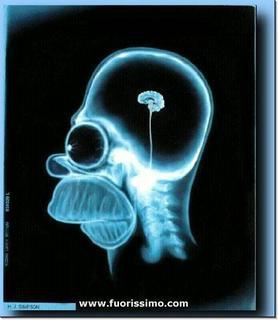 ECCO ER QUOZIENTE INTELLETTIVO DEI NOSTRI POLITICI !! - 06/03/2012