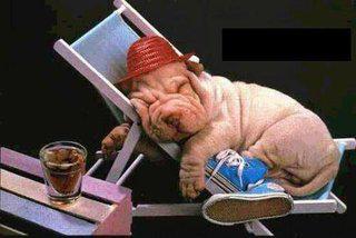 QUANTO E' BELLA 'A PENNICHELLA DOPO AVE' MAGNATO !! - 07/03/2012