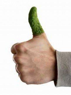 SE HAI ER POLLICE VERDE... FORSE E' ORA CHE TE LAVI !! - 07/03/2012