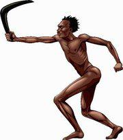 E COME DISSE ER LANCIATORE DE' BOOMERANG INESPERTO... - 07/03/2012