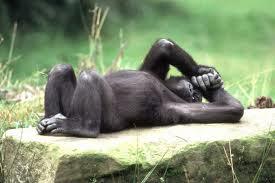 HO BISOGNO DE' STACCA LA SPINA !! - 07/03/2012