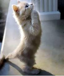 TE PREGO FA CHE DOMANI CE SIA ER SOLE !! - 07/03/2012