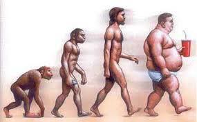 ER PERCORSO DELL'EVOLUZIONE !! - 08/03/2012