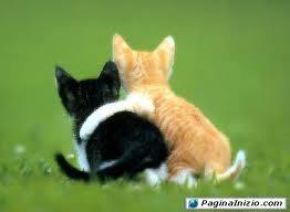 NUN TE PREOCCUPA' SI LUI NUN TE VOLE... CE SO' IO CHE TE VOJO TANTO BENE !! - 17/03/2012